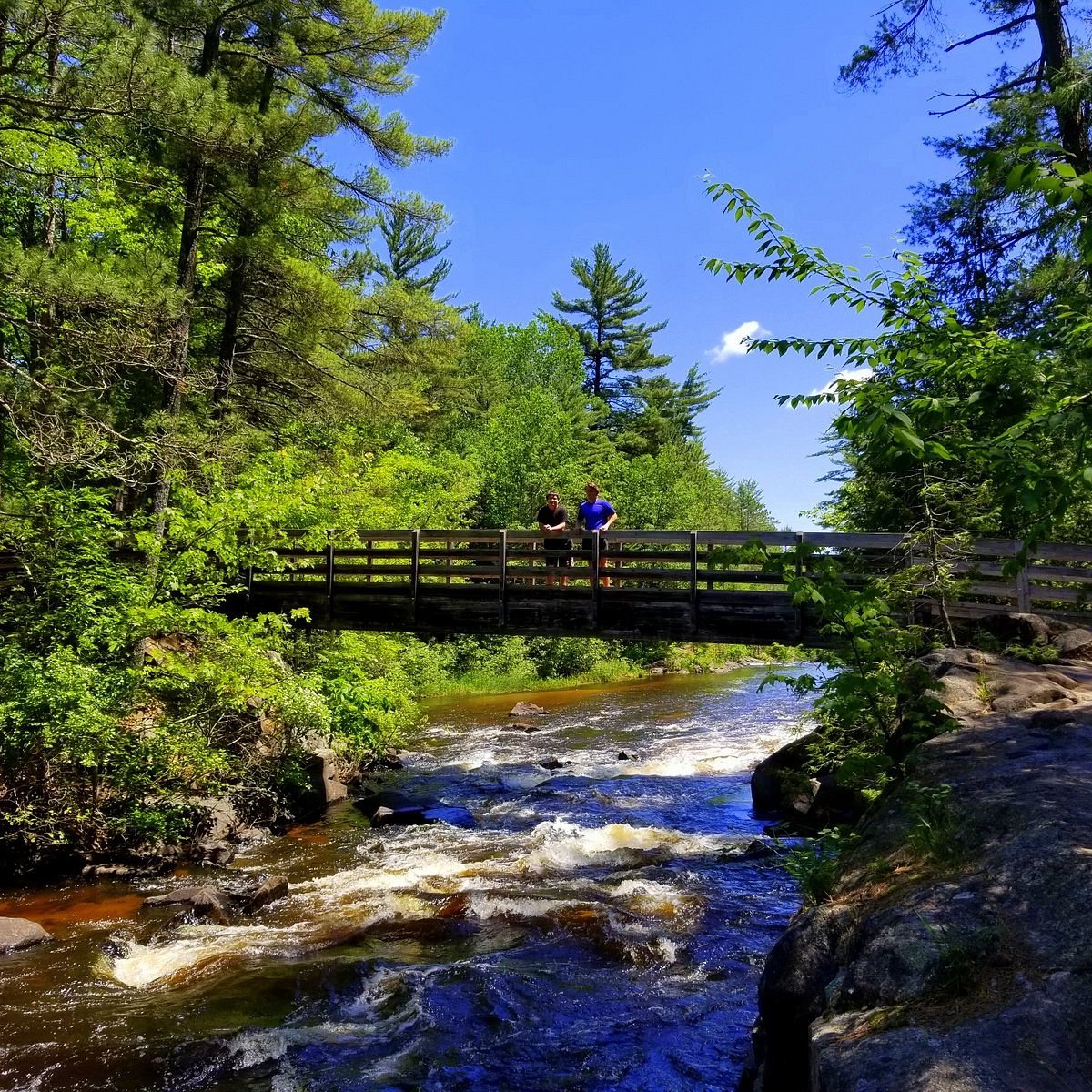 Lakewood Falls, IL - Dave's Falls County Park - All You SHOULD Know Before Going 2026 (with  Reviews)